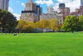 Central Greens